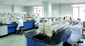 豪華賽皇宮，藥價為何高？——透視哈藥六廠事件中的網絡技術與輿論影響